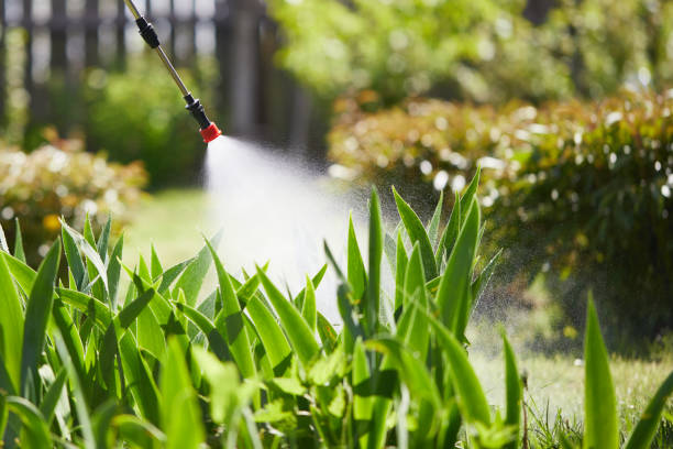 24/7 Emergency Wasp Removal experts in South Pekin, IL